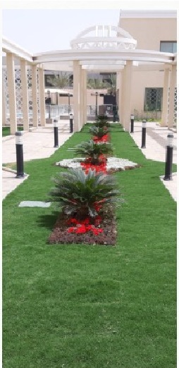landscaping and irrigation design