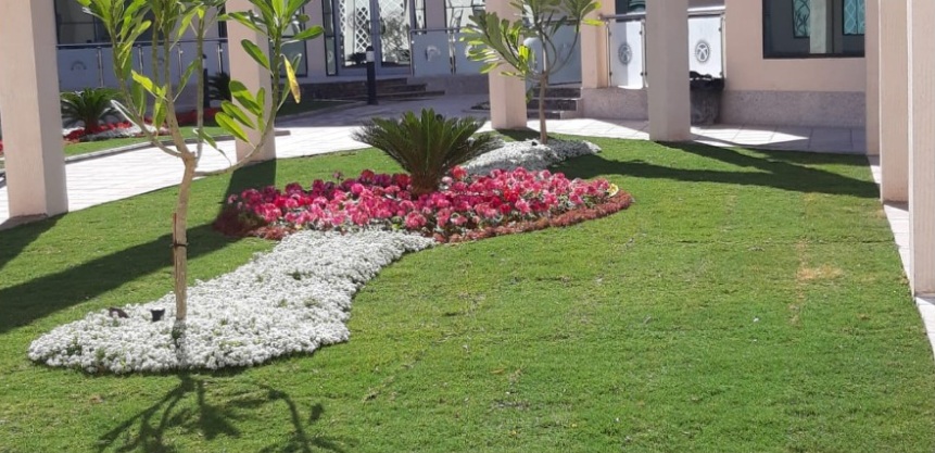 landscaping and irrigation design