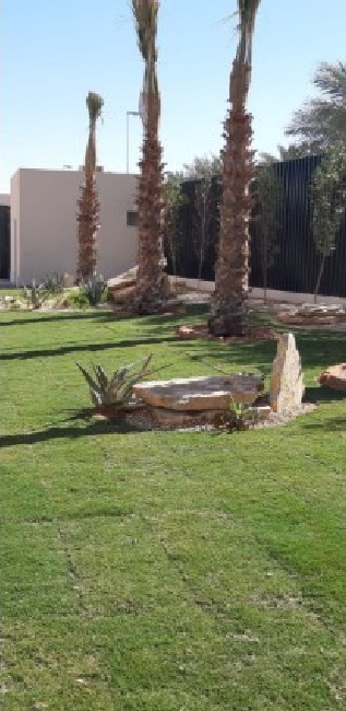 landscaping and irrigation design