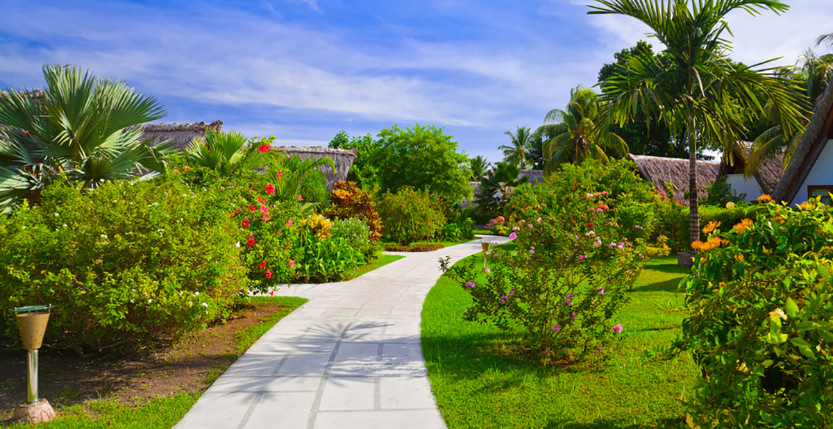 Read more about the article What Are Some Best Landscaping Ideas أفكار تنسيق الحدائق?