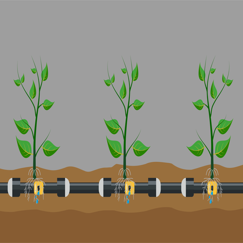 Drip Irrigation system