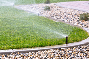 The Homeowners Guide to Landscape Irrigation