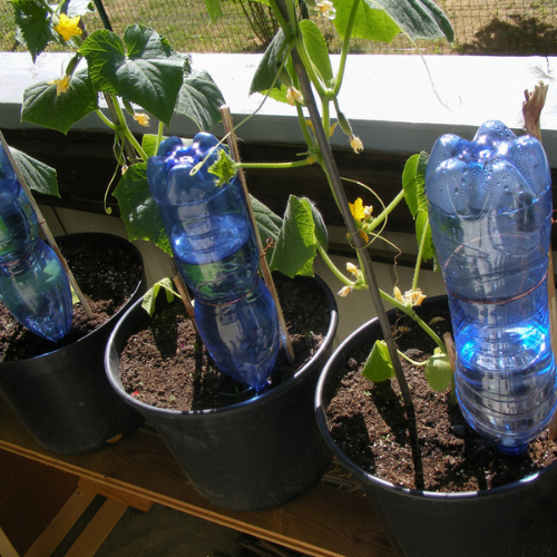 DIY Plastic Bottles​