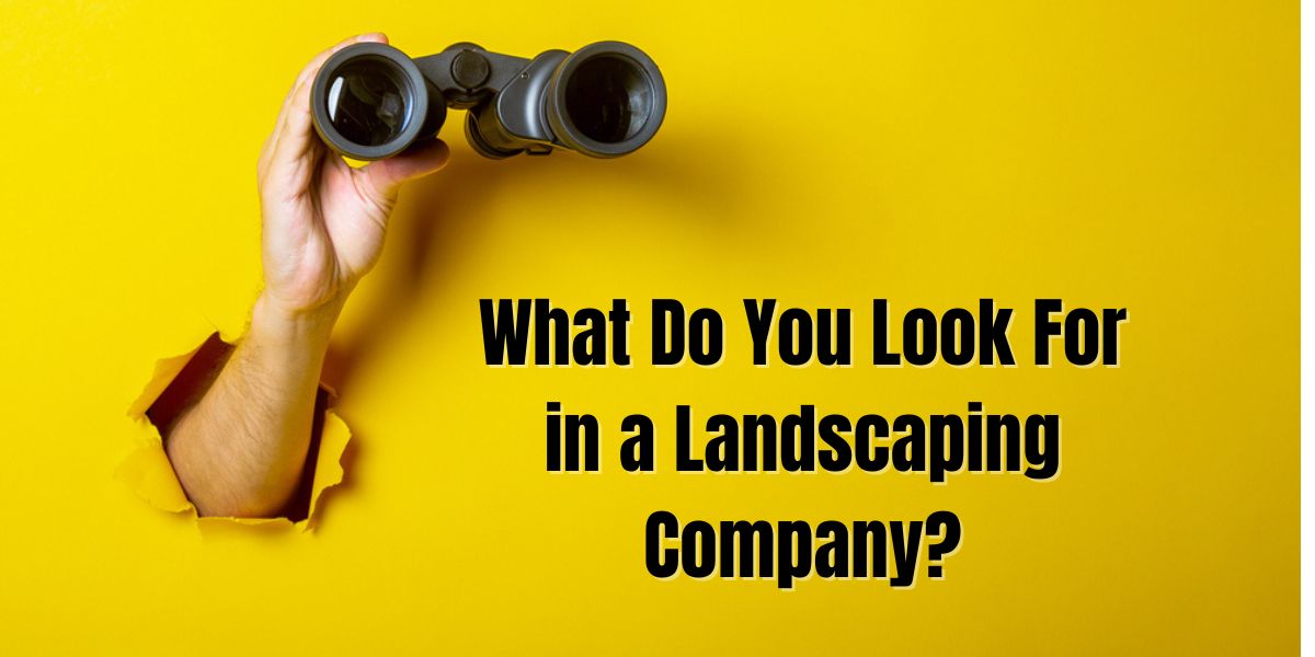 You are currently viewing What Do You Look For in a Landscaping Company?
