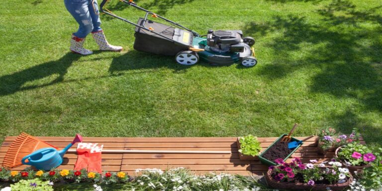 Read more about the article Best Tools for Perfect Lawn Care Services