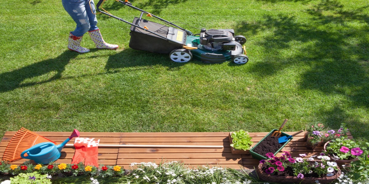 Read more about the article Best Tools for Perfect Lawn Care Services
