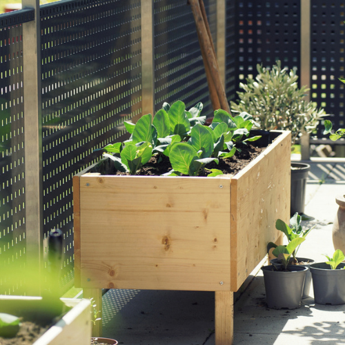 Use Wooden Material For Gardening