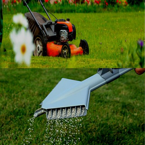 Cost Saving Grass Landscaping