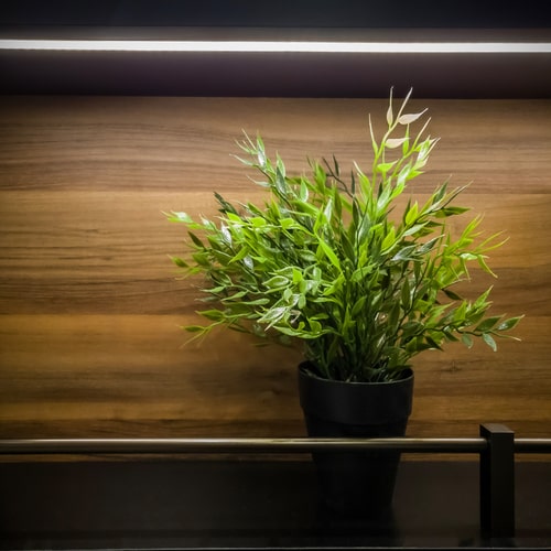 DIY LEDs For Plants