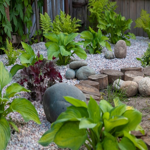 DIY Rocky Garden