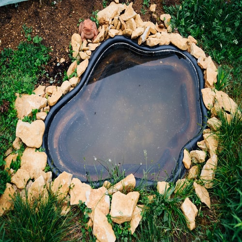 DIY Water Pond in Backyard