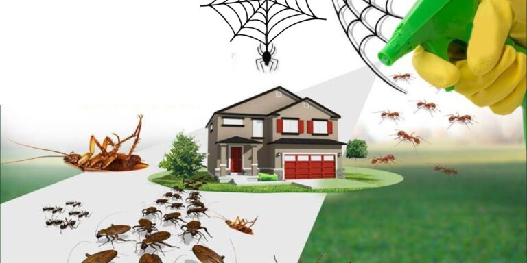 Read more about the article <strong>Effective Pest Control Solutions For Your Home</strong>