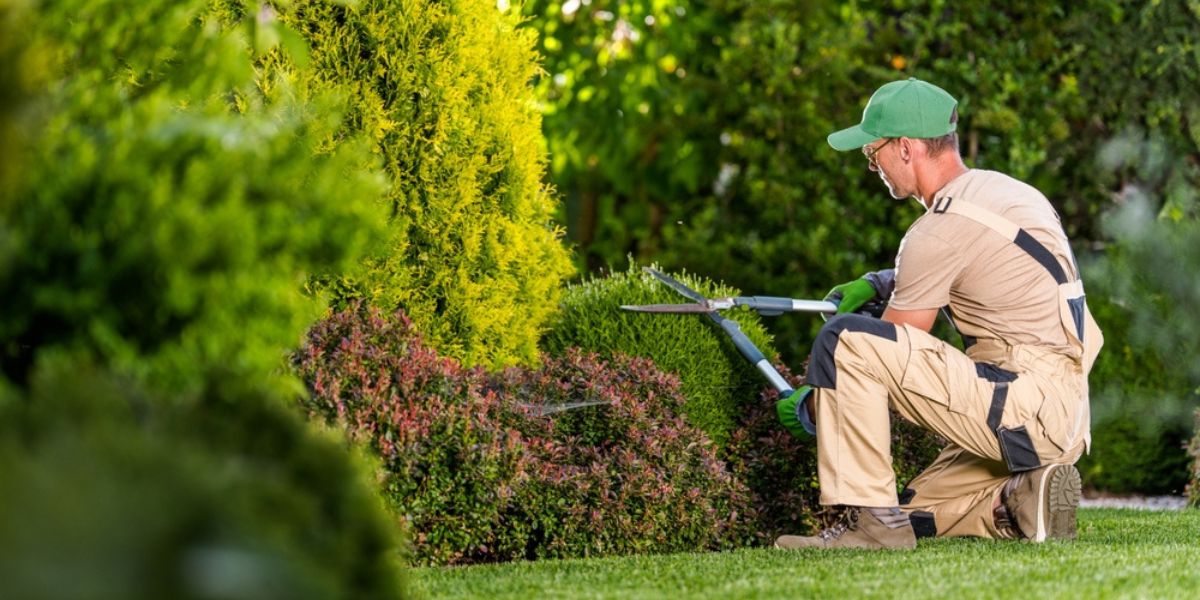 Read more about the article <strong>5 Surprising Benefits of Regular Lawn Maintenance</strong>