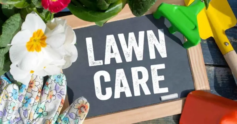 A display message of Lawn Care