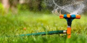 Read more about the article The Importance of Proper Irrigation In Maintaining A Healthy Landscape Garden