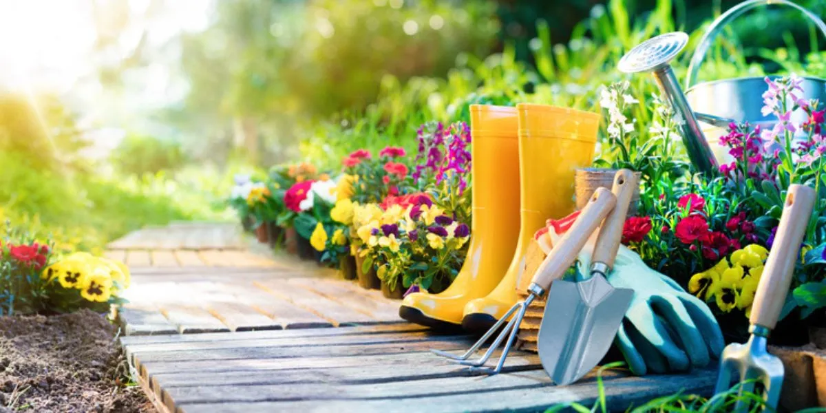 You are currently viewing List of 11 Best Gardening Tools Names and Their Uses