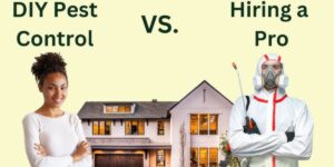 Read more about the article Why Professional Pest Control Is Better Than DIY in Riyadh