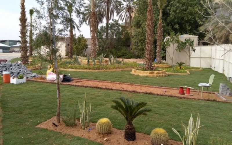 Landscaping and irrigation design