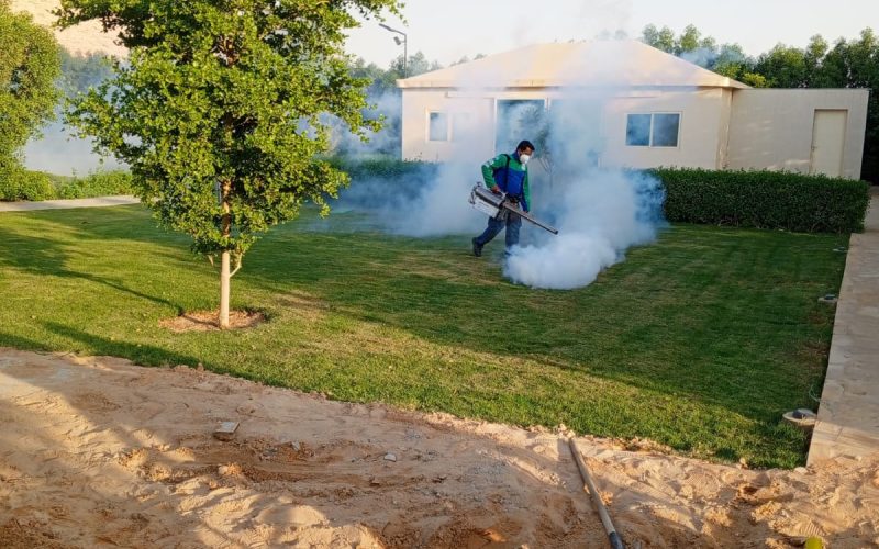 WhatsApp Image 2025-10-08 at 10.23.50_390d3a09