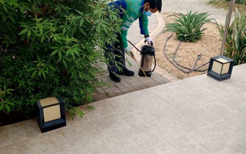 WhatsApp Image 2026-03-31 at 1.09.45 PM (3)