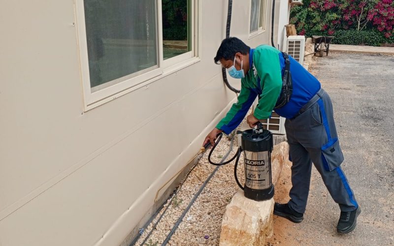 WhatsApp Image 2026-03-31 at 1.09.46 PM (1)