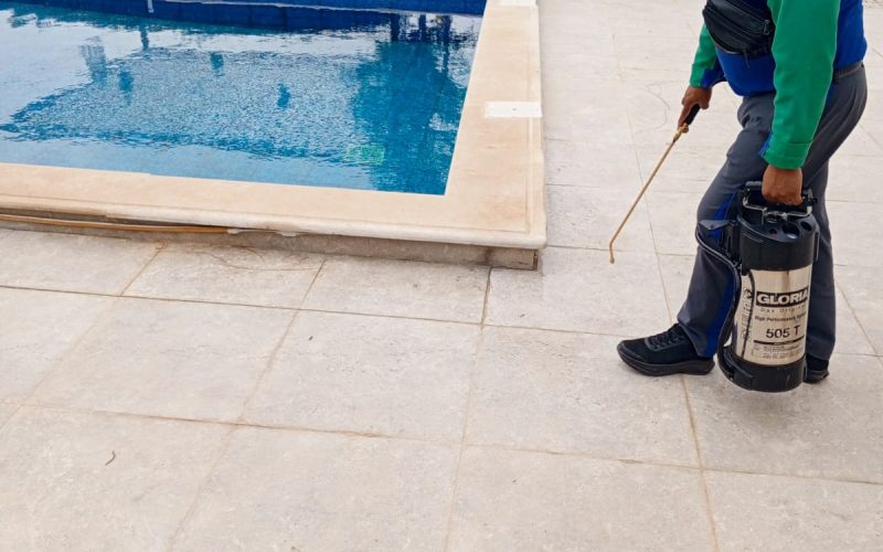 WhatsApp Image 2026-03-31 at 1.09.46 PM (4)