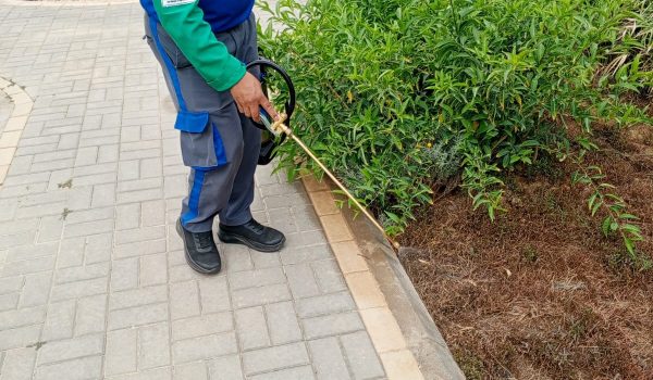 WhatsApp Image 2026-03-31 at 1.09.46 PM