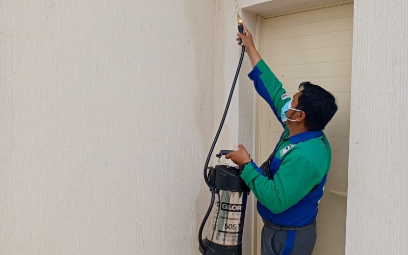 WhatsApp Image 2026-03-31 at 1.09.47 PM