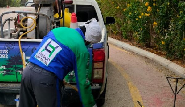 WhatsApp Image 2026-03-31 at 1.11.05 PM (2)