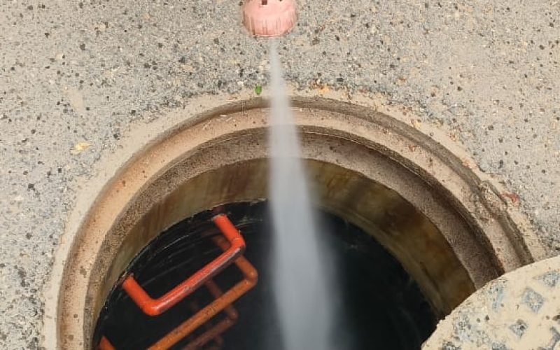 WhatsApp Image 2026-03-31 at 1.11.06 PM (1)