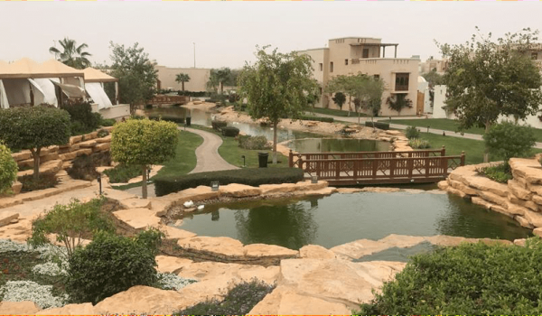 landscaping and irrigation design